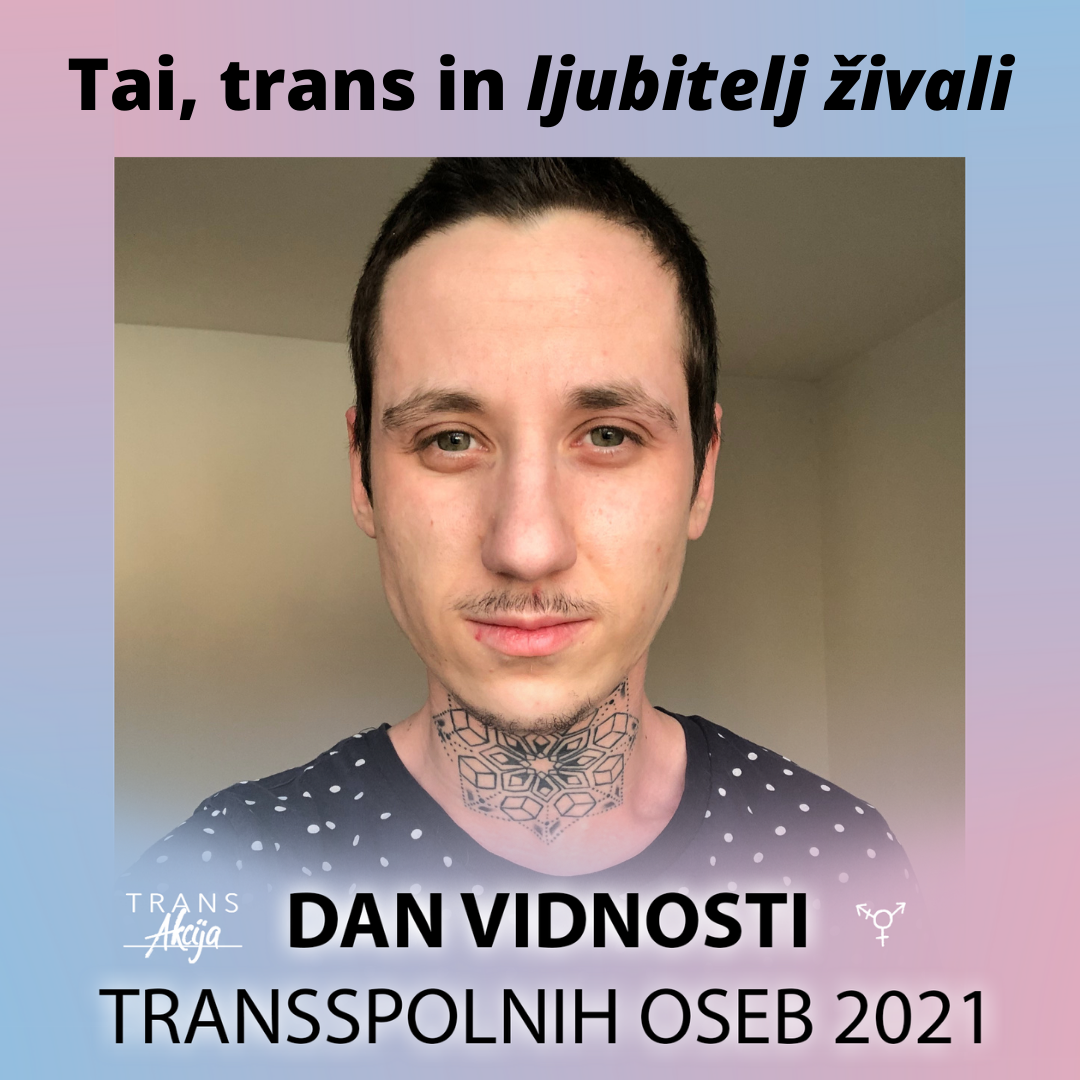 Tai, trans in ljubitelj živali